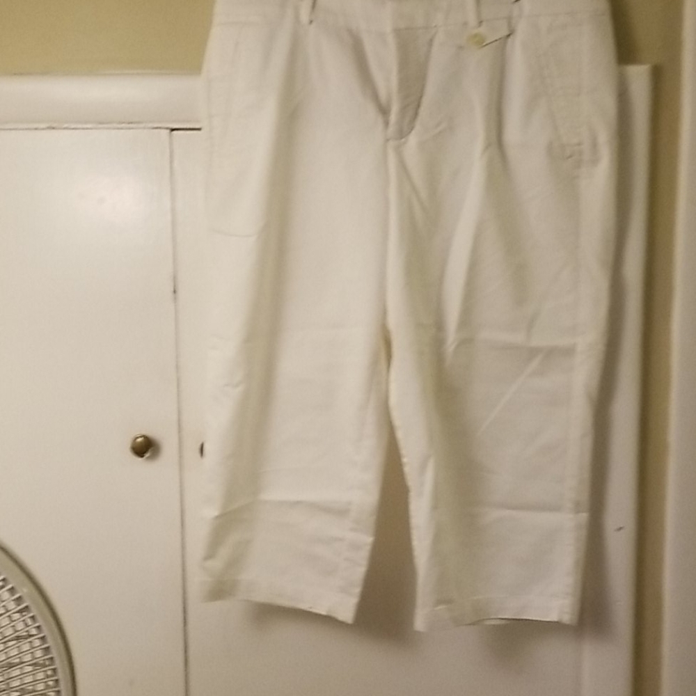 Dressy capri pants